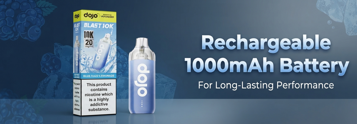 Rechargeable 1000mAh Battery