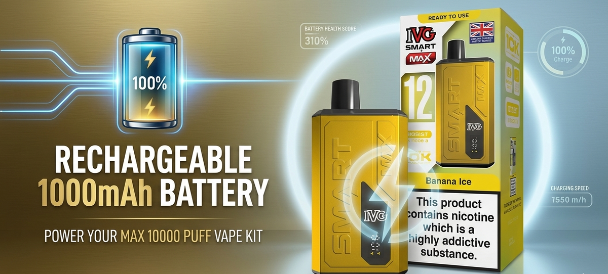 Rechargeable 1000mAh Battery