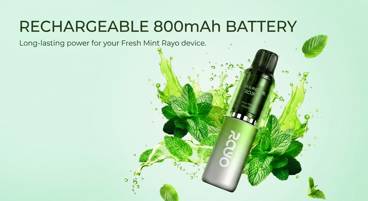 Rechargeable 800mAh Battery
