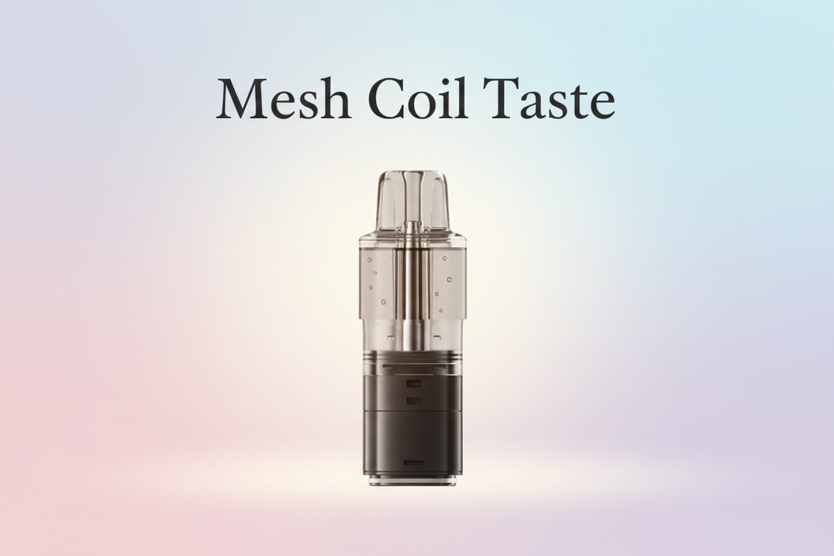 Mesh Coil Taste