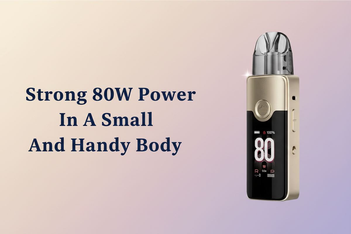 Strong 80W Power In A Small And Handy Body