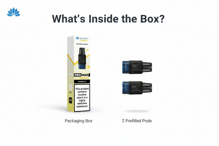 What's in the box